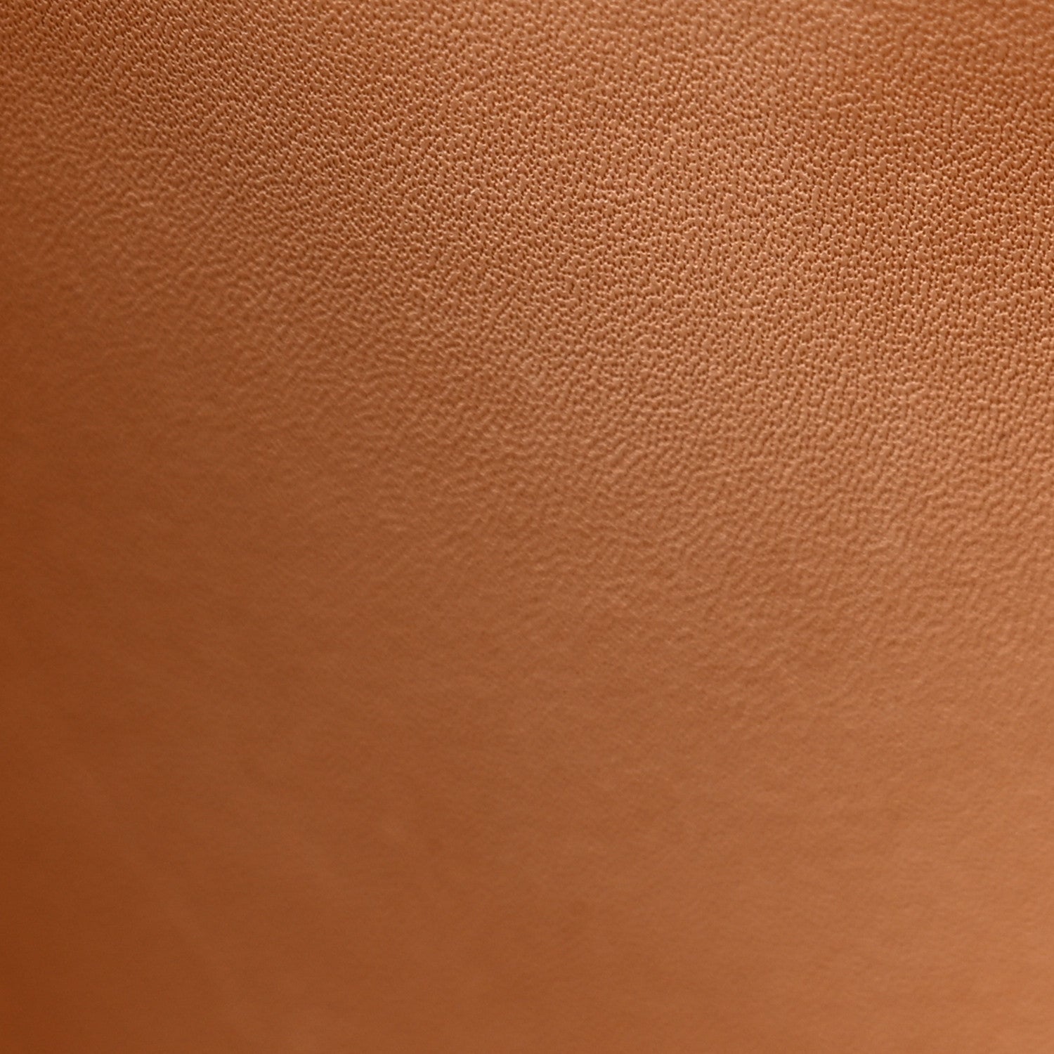 デルヴォー ブリヨン ミニ ショルダーバッグ Natural グレインドカーフスキン ゴールド金具 DELVAUX BRILLANT MINI SHOULDER BAG NATURAL GRAINED CALFSKIN GOLD HARDWARE