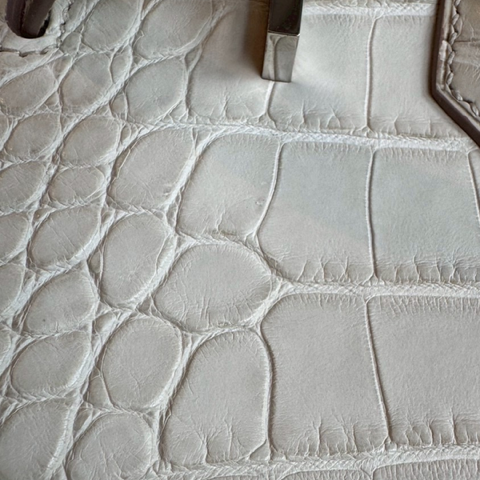 HERMES BIRKIN 25 BETON CROCODILE MATTE ALLIGATOR SILVER HARDWARE